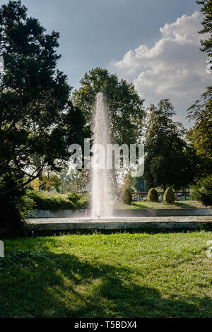 Une fontaine dans le Parco del Valentino, Turin Banque D'Images