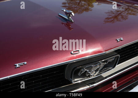 Ornement de capot d'une Ford Mustang 289 de 1960, Cologne, Allemagne. Ford Mustang 289 Kuehlerfigur eines aus den 60er Jahren, Koeln, Deutschland. Banque D'Images