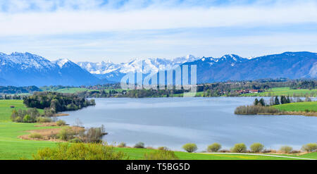 Début de printemps à la Riegsee en Haute-bavière, vue d'Alpes enneigées Banque D'Images