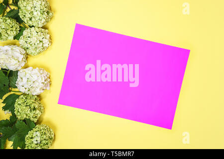 De belles fleurs d'hortensias et roses carte papier remarque sur fond jaune vif. Un minimum de composition de printemps et d'été. Mise à plat, vue du dessus. Banque D'Images