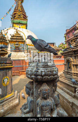 Un pigeon debout sur une sculpture représentant quatre bouddhas assis en face de l'Kaathe ShreeGha stupa de Swayambhu Chaitya Banque D'Images