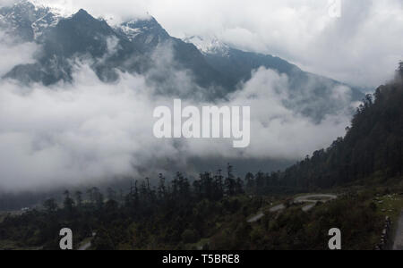 Montagnes brumeuses près de Yumthang Vallée,le Sikkim, Inde Banque D'Images