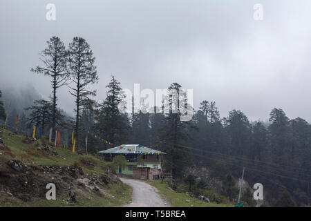 Belle vue sur Vallée Yumthang enroute, Sikkim, Inde Banque D'Images