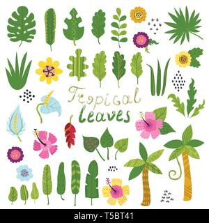Vector set de feuilles et fleurs tropicales Illustration de Vecteur