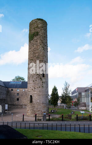 Bel exemple de tours rondes irlandais célèbre dans la ville de Roscrea dans le comté de Tipperary, Irlande. Banque D'Images