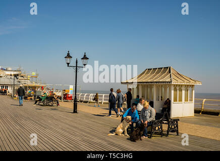 Deux dames en profitant du soleil et assis sur un banc en bois sur la jetée de Cromer faire d'histoires de leurs chiens de compagnie, d'être un rendez-vous Banque D'Images