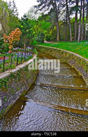 Le joli ruisseau de débordement de Roath Park Lake s'exécute dans les étapes vers le bas par les magnifiques jardins botaniques. Banque D'Images