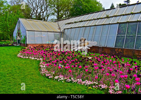 Avis de Roath Park Conservatory, situé au milieu du parc's botanical gardens.Ouvert au public le bâtiment chauffé contient de nombreuses plantes spéciales Banque D'Images