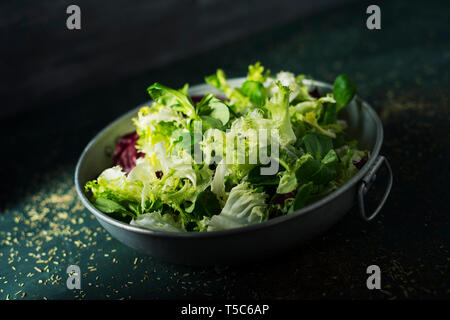 Libre d'un mélange de différentes salades, comme la laitue romaine, l'endive ou de roquette, dans un plat en métal rustique, sur un tableau vert foncé Banque D'Images