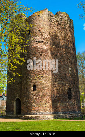 Cinquante mètres de haut de la tour de vache sur les bords de la rivière Wensum à Norwich City, Norfolk, East Anglia, Angleterre, Royaume-Uni. Banque D'Images