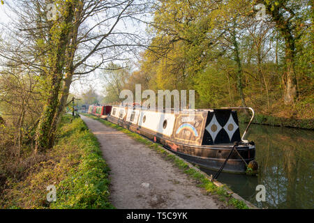 Bateaux du canal sur le canal d'oxford, au petit matin le soleil de printemps. Shipton on Cherwell, Oxfordshire, Angleterre Banque D'Images