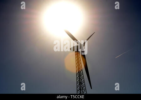 Les éoliennes à la ferme éolienne de San Gorgonio à Palm Springs, Californie, USA Banque D'Images