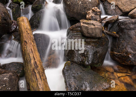 Partie d'une série de petites chutes d'eau à Cascades Calypso à l'état sauvage du bassin du Rocky Mountain National Park près de Allenspark, Colorado. Banque D'Images