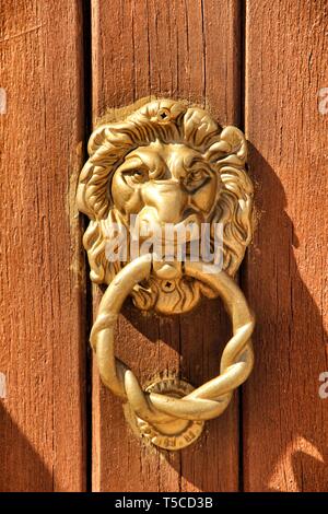 Vintage heurtoir en forme de lion sur la porte en bois brun Banque D'Images