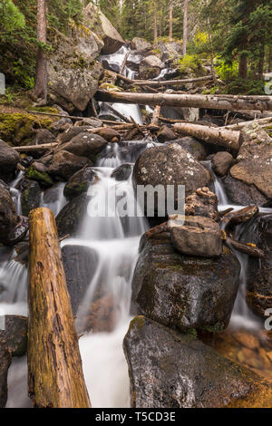 Une série de petites chutes d'eau à Cascades Calypso à l'état sauvage du bassin du Rocky Mountain National Park près de Allenspark, Colorado. Banque D'Images