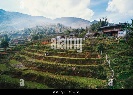 Les rizières en terrasses de Sapa à saison rainny, Lao Cai, Vietnam. Champs de riz préparer pour la transplantation au Northwest Vietnam. récolte de la fie de riz Banque D'Images