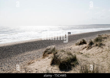 Couple avec un chien marchant le long d'une plage dans le Suffolk sur une journée ensoleillée Banque D'Images