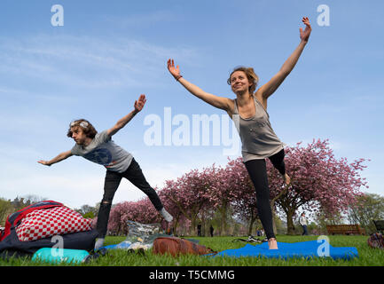 Edinburgh, Ecosse, Royaume-Uni. Apr 23, 2019. Avec les fleurs de cerisier en fleurs sur les arbres dans le parc des Meadows dans le sud de la ville, les étudiants de l'Université d'Édimbourg et à proximité le public apprécier les fleurs et de beau temps. Sur la photo ; les résidents d'Édimbourg, à gauche et Izaak Marie prendre leur première leçon de yoga tout en regardant une vidéo de scolarité Youtube sur leur téléphone. Credit : Iain Masterton/Alamy Live News Banque D'Images