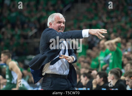 Kaunas, Lituanie. Apr 23, 2019. Entraîneur de Beko Fenerbahce Istanbul Zeljko Obradovic réagit au cours du troisième match de l'Euroligue entre la Lituanie et la Turquie du Zalgiris Kaunas Fenerbahce Istanbul de Beko à Kaunas, Lituanie, 23 avril 2019. Alfredas Crédit : Pliadis/Xinhua/Alamy Live News Banque D'Images