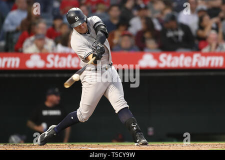 Anaheim, Californie, USA. 23 avr 2019. Nouvelle York Yankee catcher Austin Romine (28) est en contact à la plaque pendant le jeu entre les Yankees de New York et le Los Angeles Angels of Anaheim au Angel Stadium à Anaheim, CA, (photo de Peter Renner and Co, Cal Sport Media) Credit : Cal Sport Media/Alamy Live News Banque D'Images