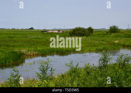 WWT Welney Wetland Centre, Wisbech, Cambridgeshire, Angleterre, RU Banque D'Images