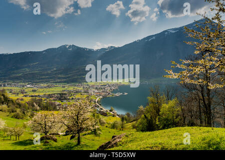 Le village de montagne idyllique de Arth sur le lac de Zoug, en Suisse centrale, sur une belle journée de printemps avec la floraison des arbres et des fleurs Banque D'Images