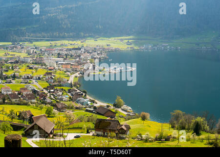 Le village de montagne idyllique de Arth sur le lac de Zoug, en Suisse centrale, sur une belle journée de printemps avec la floraison des arbres et des fleurs Banque D'Images