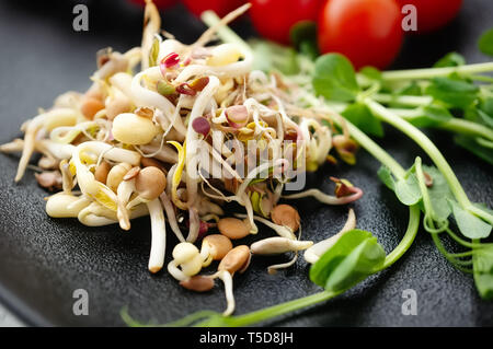 Salade de fèves germées et graines de lin avec de l'avocat. Le concept de l'alimentation macrobiotique. Banque D'Images