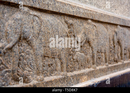 Close up horizontale à l'éléphant sculpté dans la paroi de l'rock Vivekananda memorial à Kanyakumari, Inde. Banque D'Images