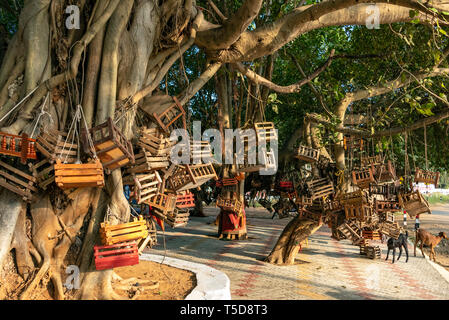 Vue verticale d'un wishing tree dans Kanyakumari, Inde. Banque D'Images