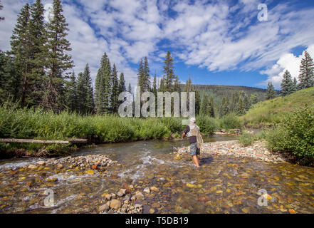 Pêche à la mouche autocollant-Truite Aspen Poêle rivière Roaring Fork Colorado
