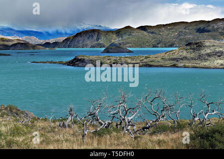 Le lac Pehoe, Torres del Paine, Chili NP Banque D'Images