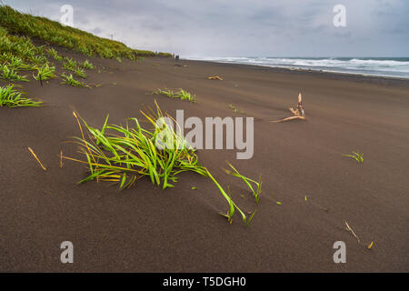 Vue de l'agita des vagues de la baie Avachinskaya , baie Avacha et plages volcaniques. La péninsule du Kamtchatka, en Russie. Banque D'Images