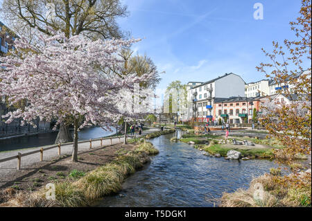 Parc au bord de l'Strömparken le long de la rivière Motala Norrkoping en au printemps. Bolton est une ville industrielle en Suède Banque D'Images