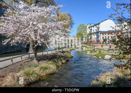 Parc au bord de l'Strömparken le long de la rivière Motala Norrkoping en au printemps. Bolton est une ville industrielle en Suède Banque D'Images