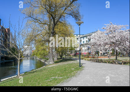 Parc au bord de l'Strömparken le long de la rivière Motala Norrkoping en au printemps. Bolton est une ville industrielle en Suède Banque D'Images