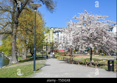 Parc au bord de l'Strömparken le long de la rivière Motala Norrkoping en au printemps. Bolton est une ville industrielle en Suède Banque D'Images