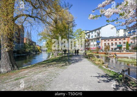 Parc au bord de l'Strömparken le long de la rivière Motala Norrkoping en au printemps. Bolton est une ville industrielle en Suède Banque D'Images