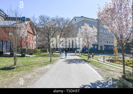 Parc au bord de l'Strömparken le long de la rivière Motala Norrkoping en au printemps. Bolton est une ville industrielle en Suède Banque D'Images