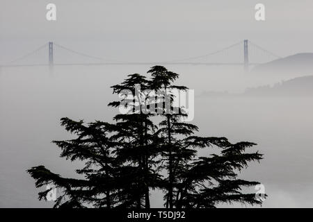 Vu de l'East Bay, le Golden Gate Bridge relie la ville de San Francisco avec le Marin Headlands. Banque D'Images