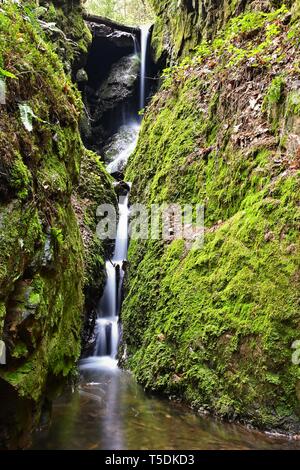 Belle nature fond avec ruisseau et forêt. Le printemps dans la nature. Banque D'Images