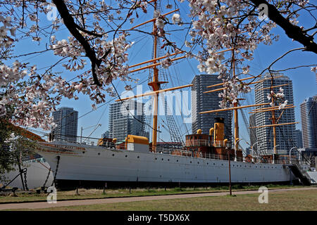 Meiji Maru historique Tall Ship, Tokyo, Japon Banque D'Images