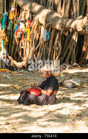 Portrait vertical d'une vieille dame priant à un Wishing Tree à Rameswaram, Inde. Banque D'Images