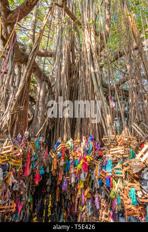 Vue verticale d'un arbre qui souhaitent en Inde, Rameswaram. Banque D'Images