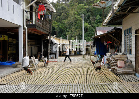 Espace commun entre les maisons longues de tribu Bidayuh, Kampung Annah Rais, Sarawak (Bornéo), Malaisie Banque D'Images