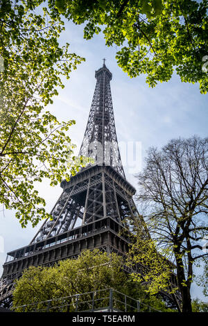 La Tour Eiffel vue du Champs de Mars Banque D'Images