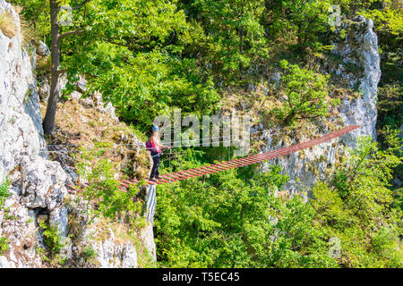 Dame sur tourisme en bois suspendu via ferrata pont sur une route appelée 'Casa Zmeului' de Vadu Crisului, Padurea Craiului, Roumanie, o, Apuseni Banque D'Images