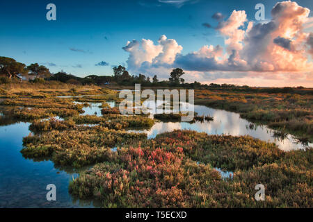 Coucher de soleil dans les marais salés de Carboneros, à Chiclana de la Fontera, Espagne Banque D'Images