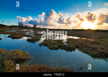 Coucher de soleil dans les marais salés de Carboneros, à Chiclana de la Fontera, Espagne Banque D'Images