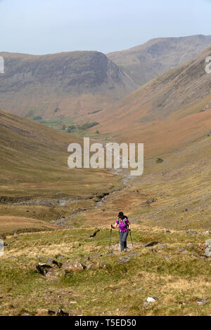 Une femelle randonneur sur les pentes de Rivamonte Agordino est tombé, la marche en direction de Great Gable dans le Parc National de Lake District en Cumbrie, Angleterre. Banque D'Images